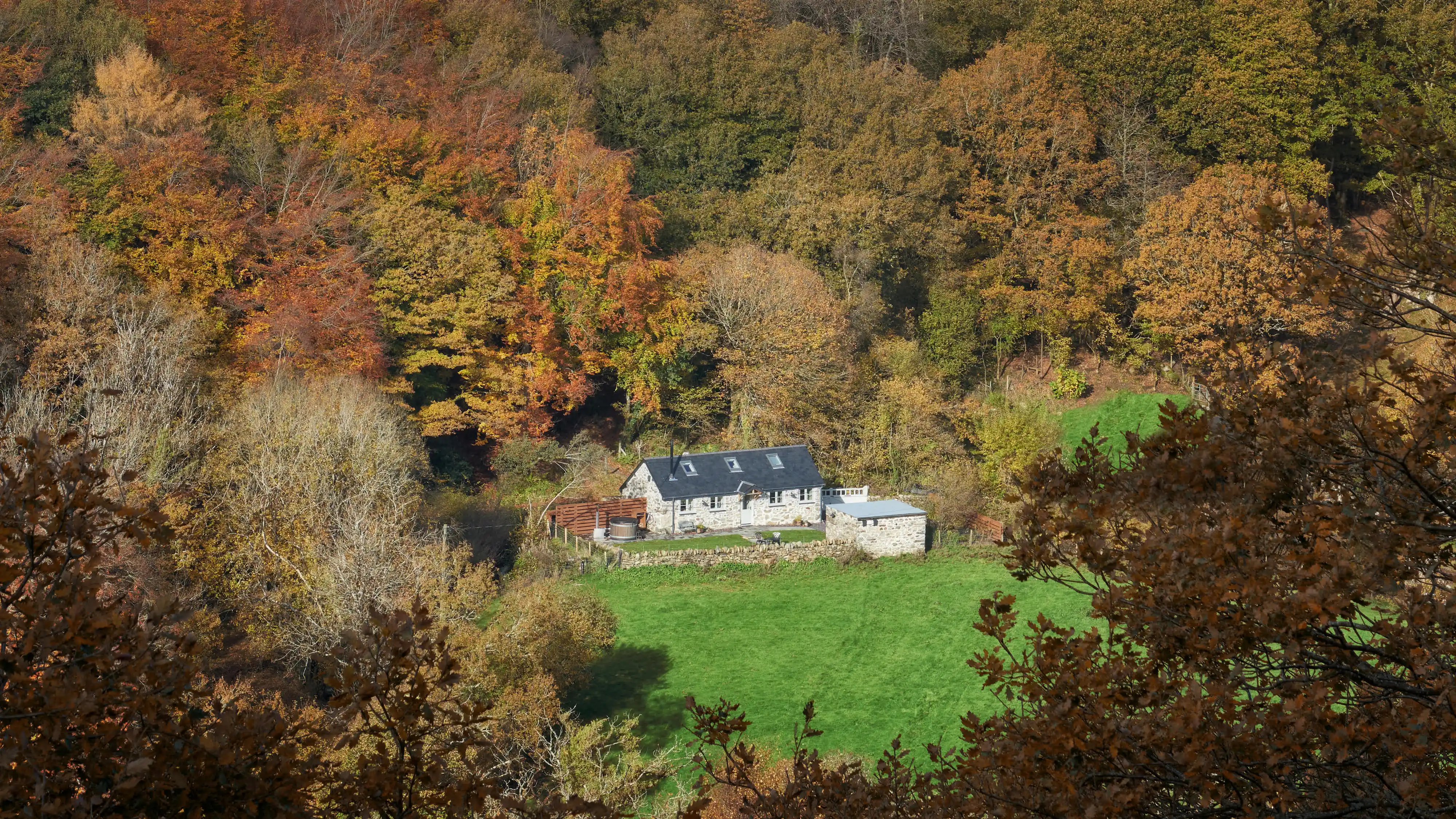 Coed Llydan in autumn (landscape view)