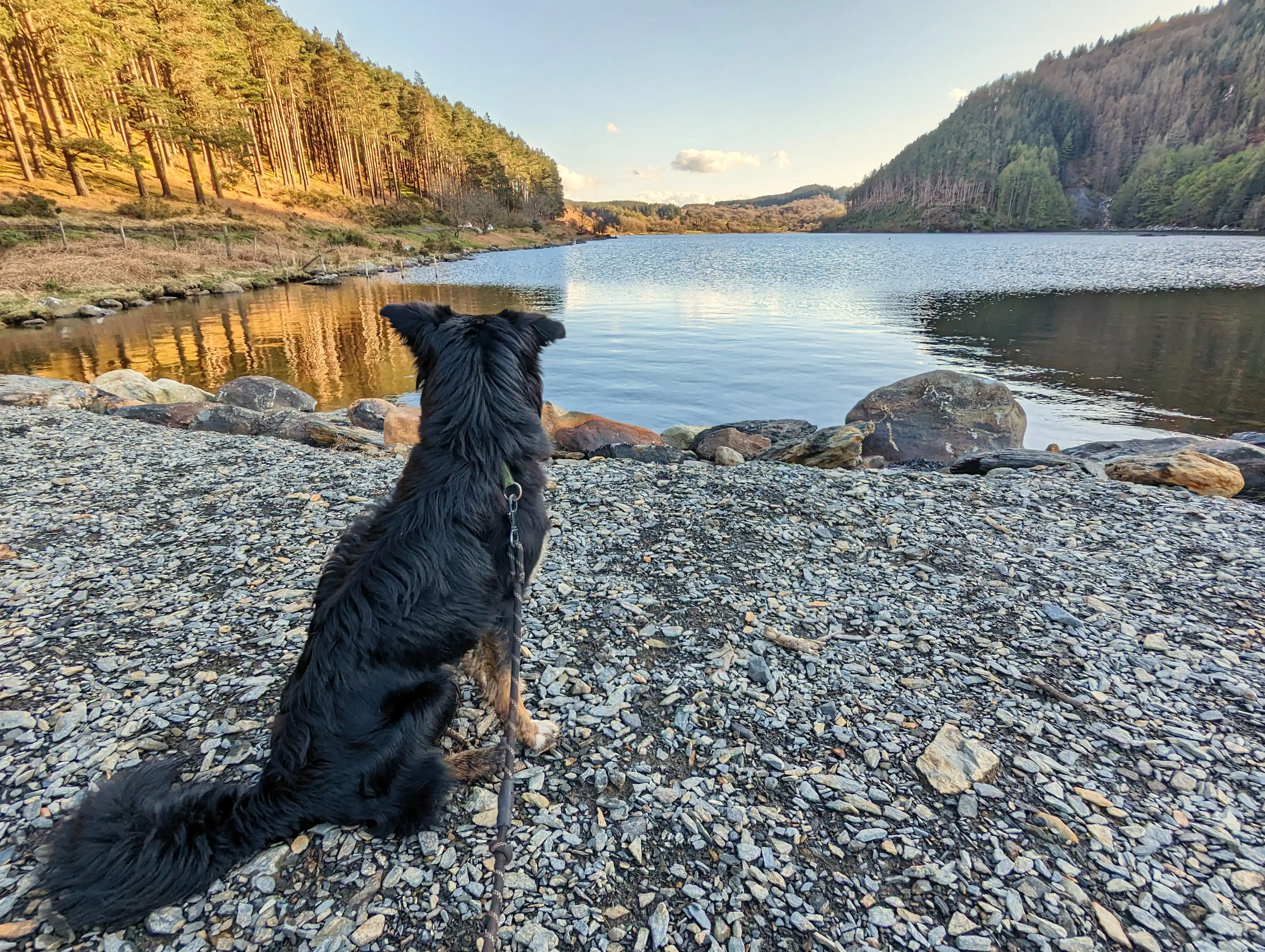 Llyn Geirionydd lake reflecting the hills